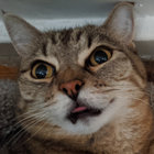 drfiresign thumbnail