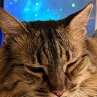 cathodic_tv thumbnail
