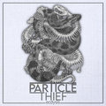 Particle Thief image