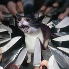lolobb thumbnail