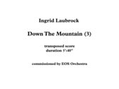'Down The Mountain, Down The Mountain' for chamber orchestra and improvising soloists (3 pdf full scores) photo 