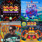 Raja Ram Presents Stash Bag Vol. 6 | TIP Records