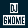 DJ Gnome image