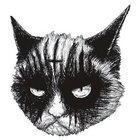 Сats and Metal Media thumbnail
