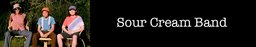 Sour Cream — Photo