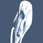 pohlamoos thumbnail