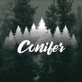Conifer image