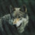 Bandcamp profile picture for @wolfex