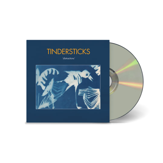 Distractions | tindersticks