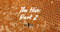 The Hive Compilation image