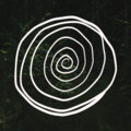 Spiral Wood image