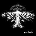 Grey Feather image