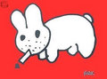 S. Rabbit image