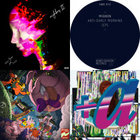 BEST OF NDG+α | NATURE DANGER GANG