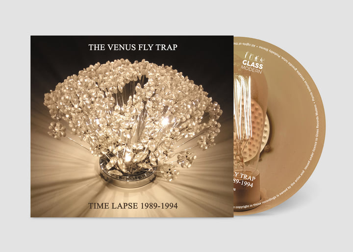 Time Lapse 1989-1994 | The Venus Fly Trap | Glass Modern