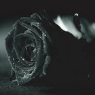 The Silent Enigma | Anathema | Peaceville