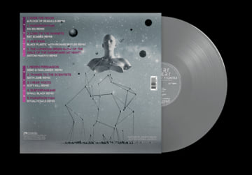 Silver Vinyl, image 2