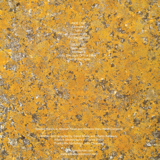 Reconstructions | David Bridie & All India Radio | David Bridie