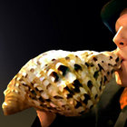 schlense thumbnail