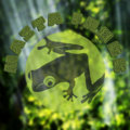 Masta Frogg image