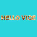 Hello Vice image
