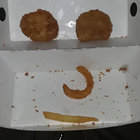 fogopolis thumbnail