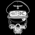 Hate Inc. image