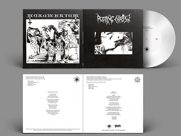 Split 7