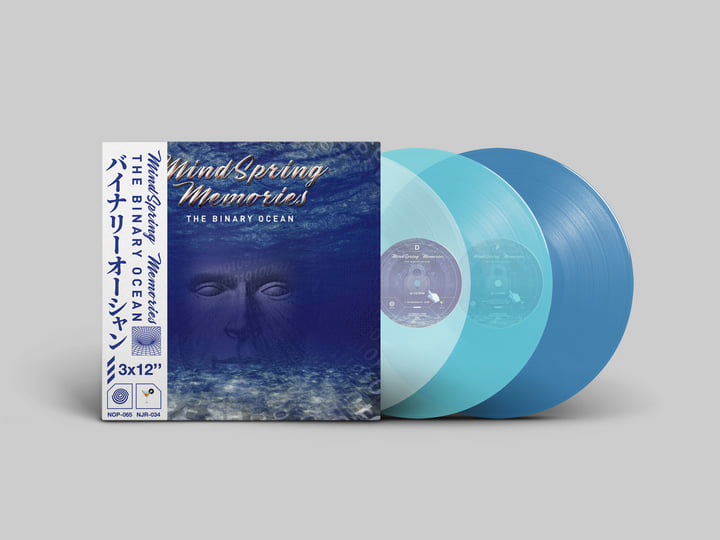 The Binary Ocean | MindSpring Memories
