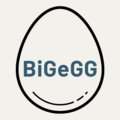 BiGeGG image