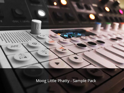 Moog Little Phatty - Sample Pack main photo