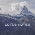 Lotus Notes image