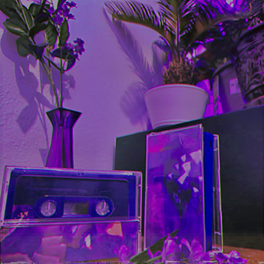 フラミンゴ | Frez Wave
