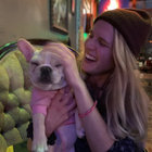 Em Stevenson thumbnail