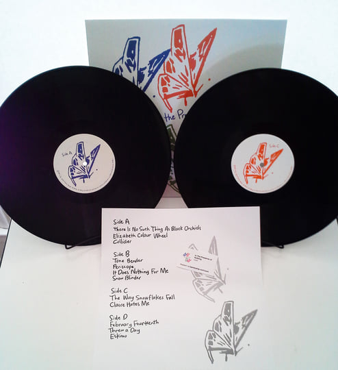 Lilys In the Presence of Nothing 限定LP In The Presence of Nothing | Lilys
