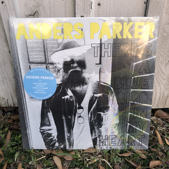 There's A Blue Bird In My Heart | Anders Parker