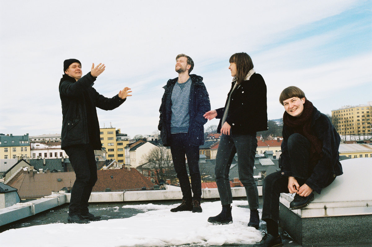 Gratis bilde: Den arktiske grå ulven eller polarulven (Canis lupus arctos),  en hvit ulv som står i snøen i måneskinn på Arktis, image size:1200x799