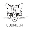 CUBRICON image