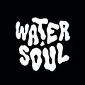 WaterSoul Records image