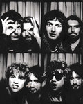 The Velvet Hands photo
