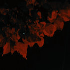_vall thumbnail