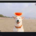 Victoria thumbnail