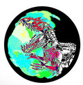 Dinosphere image
