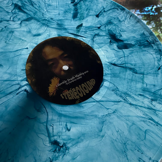 希少青盤LP•HeavenShallBurn-WhateverItMayTake Heaven Shall Burn