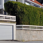 Sveinung thumbnail