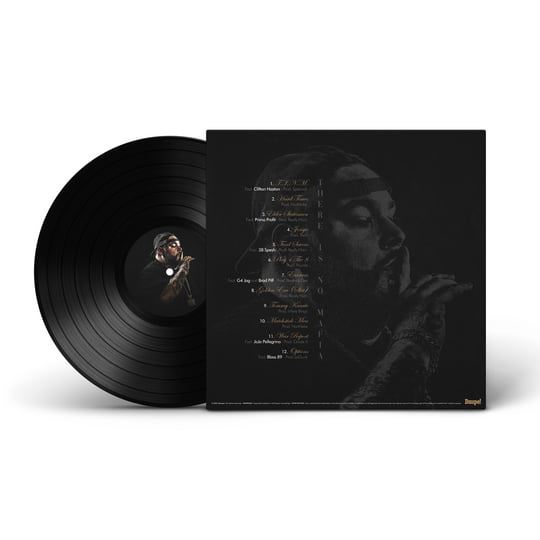 Pounds ‎–There Is No Mafia daupe! Pounds – There Is No Mafia – Vinyl (OBI, LP, Limited Edition