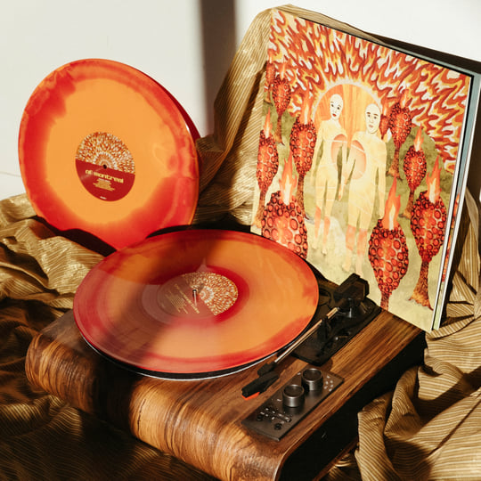 The Sunlandic Twins | of Montreal