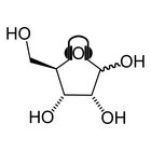 Ribose thumbnail