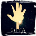 SIDCA image