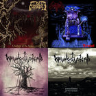 米LP Impurity Into The Ritual Chamber ZEBU29EP Greyhaze Records /00400 Into the Ritual Chamber | Impurity | Greyhaze Records